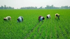 কৃষি ও পল্লী ঋণের লক্ষ্যমাত্রা বেড়ে ৩৮ হাজার কোটি টাকা