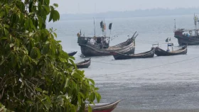 উখিয়া সীমান্তে মাইন বিস্ফোরণ, বাংলাদেশির পা বিচ্ছিন্ন