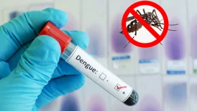 ডেঙ্গুতে আরও একজনের মৃত্যু, হাসপাতালে ১৬৯