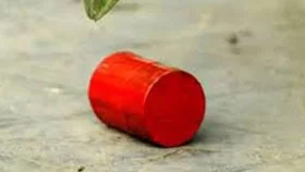 কালকিনিতে পুলিশের অভিযানে ১২ হাত বোমা উদ্ধার