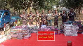 ভারত থেকে চোরাই পথে আসা পিকআপবোঝাই শাড়িসহ আটক এক