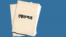 জনগণকে কাল্পনিক গল্প শোনানো হতো: শ্বেতপত্র প্রণয়ন কমিটি