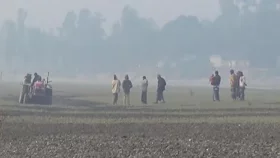 শীতে কাবু দিনাজপুর, তাপমাত্রা নামলো ১০ ডিগ্রিতে