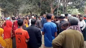 শেরপুরে বিদ্যুৎস্পৃষ্টে দুই কৃষকের মৃত্যু