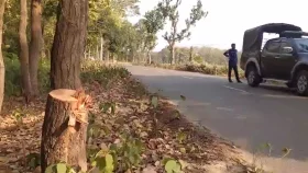 শিক্ষার্থীদের গলায় দা ঠেকিয়ে পিকনিকের চার বাসে ডাকাতি