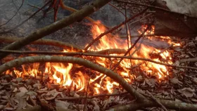 পূর্ব সুন্দরবনে আগুন, আশেপাশে নেই পানির উৎস
