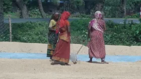 কৃষিপণ্য সরবরাহে উৎসে কর অর্ধেক কমছে
