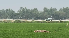 কুড়িগ্রাম সীমান্তে বিএসএফের গুলিতে ভারতীয় নিহত