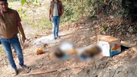 ফলের বাক্সে মিললো যুবকের খণ্ডিত তিন দেহাংশ