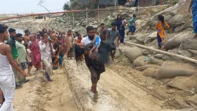 আবারও রাসেলস ভাইপার আতঙ্ক
