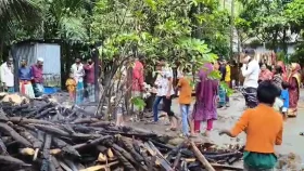 লক্ষ্মীপুরে দুর্বৃত্তের আগুনে পুড়ে মরলো তিন গরু