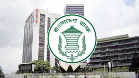 কাঁচা চামড়া কেনার জন্য বাংলাদেশ ব্যাংকের ফান্ড গঠন