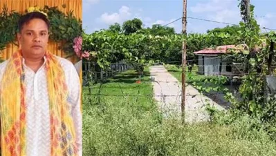 ঝিনাইদাহের কোটচাঁদপুরে আক্তারুজ্জামান শাহিনের বাগান বাড়ি। ছবি: একাত্তর। 